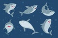 Smile shark. Cartoon cute ocean swimming wild animal funny underwater mascots in various dynamic poses exact vector