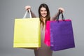 Smile shopper wearing dress showing blank colorful shopping bags and pointing you on grey background Royalty Free Stock Photo