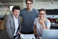 The smiles of success. Portrait of three business colleagues in the office.