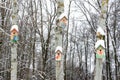 Smiley birdhouses. Birdhouse in the form of a funny face on the tree. Handmade wooden nesting box covered in snow. Winter landscap