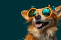 A smiley dog with cute glasses, radiating joy and charm