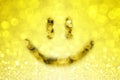 Happy Smiley Face Royalty Free Stock Photo
