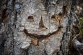 A smiley face carved into a tree trunk, AI Royalty Free Stock Photo