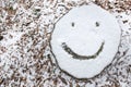 Snow covered tree stump with smiley face emoji Royalty Free Stock Photo