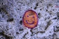 Smiley face on the rock