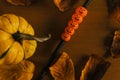 Smiley pumpkins on defocused autumn background