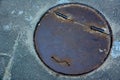 Smiley sewer hatch
