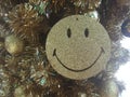 Smiley at Siam Paragon hanged on the Christmas tree with balls Royalty Free Stock Photo