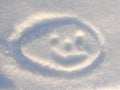 Smilie on snow natural blue white background