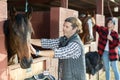 Smiling adult man stroking horse on animal ranch on autumn sunny day Royalty Free Stock Photo