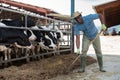 Smiling african american farmer working in outdoor cowshed Royalty Free Stock Photo