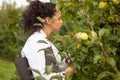 Smiling agronomist with notebook standing in apple orchard