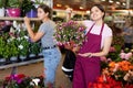 Smiling asian female florist holding hanging pot with blooming fuchsia
