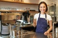 Smiling asian girl barista, cafe owner in apron, showing card machine, payment reader, taking contactless orders in her Royalty Free Stock Photo