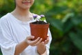 Smiling girl holding potted plant in hands against blurred green nature background on a sunny day. Earth day, Ecology. Royalty Free Stock Photo