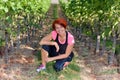 Smiling athletic woman kneeling in a vineyard