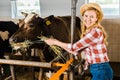 smiling attractive farmer feeding cows with hay Royalty Free Stock Photo