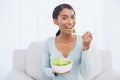 Smiling attractive woman sitting on cosy sofa eating salad Royalty Free Stock Photo