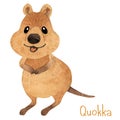 Smiling australian quokka. Cute kawaii hand drawn watercolor art