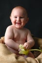 Smiling baby with flower Royalty Free Stock Photo