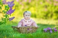 Smiling baby girl 1-2 year old wearing flower wreath, holding bouquet of lilac outdoors. Looking at camera. Summer spring time. Royalty Free Stock Photo