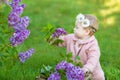 Smiling baby girl 1-2 year old wearing flower wreath, holding bouquet of lilac outdoors. Looking at camera. Summer spring time. Royalty Free Stock Photo