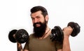 Smiling bearded man with dumbbells up in hands. Athletic muscular sportsman lifting dumbbells in sport club. Strong Royalty Free Stock Photo