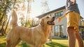 Smiling Beautiful Family of Four Play Catch flying disc with Happy Golden Retriever Dog on the Bac Royalty Free Stock Photo