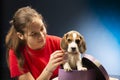 Smiling beautiful girl getting puppy in purple gift box for Christmas or Birthday