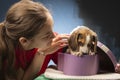 Smiling beautiful girl getting puppy in purple gift box for Christmas or Birthday