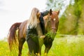 Happy young woman feeding her arabian horse with snacks in the field Royalty Free Stock Photo