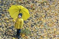 Smiling blod boy with large yellow umbrella and raincoat on a background of yellow autumn foliage. Top view Royalty Free Stock Photo