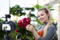 Smiling Blogger Touching Red Hydrangea Photo Royalty Free Stock Photo
