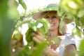 Smiling blond woman picking fruits