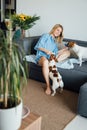 Smiling blond woman playing with two pets dogs Jack Russell terriers.