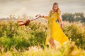 Smiling bohemian girl in yellow dress with guitar on the field at sunset warm light Royalty Free Stock Photo