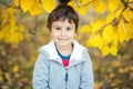 Smiling boy in autumn Leafs. Autumn activities for children. laughing Little child in autumn park