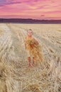 The smiling boy collects a harvest of wheat spikes. Happy little boy having fun in the golden field. Royalty Free Stock Photo