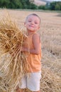 The smiling boy collects a harvest of wheat spikes. Happy little boy having fun in the golden field. Royalty Free Stock Photo