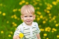 Smiling boy in dandelion meadow
