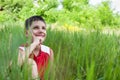 Smiling boy in the green grass Royalty Free Stock Photo