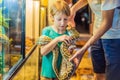 Smiling boy and his father holding python in hands Royalty Free Stock Photo