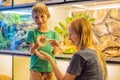 Smiling boy and his mother holding python in hands Royalty Free Stock Photo