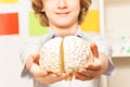 Smiling boy holding cerebrum model at his hands Royalty Free Stock Photo