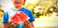 Smiling boy holding watermelon in the park Royalty Free Stock Photo