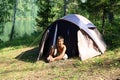 Smiling boy near tent Royalty Free Stock Photo