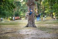 Smiling boy rides a zip line. happy child on the zip line. The kid passes the rope obstacle course