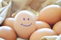 Smiling brown hen egg in fabric bag Royalty Free Stock Photo