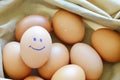 Smiling brown hen egg in fabric bag Royalty Free Stock Photo