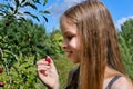 A smiling Caucasian girl picks a ripe cherry berry from a tree in the garden on a sunny day. Harvesting ripe cherries. Royalty Free Stock Photo